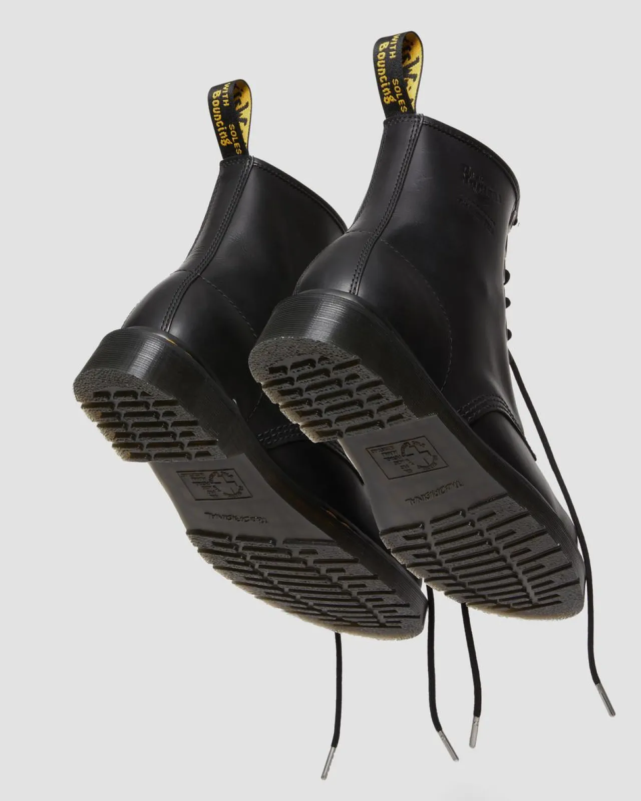 Dr. Martens 1460 THE GREAT FROG LEREN LAARZEN^WOMENS Originals|Enkellaarzen